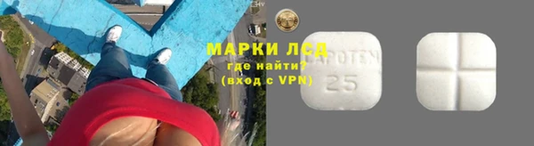гидра Верея
