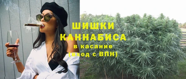 гидра Верея