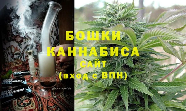 гидра Верея
