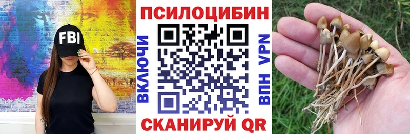 Галлюциногенные грибы прущие грибы  Питкяранта 